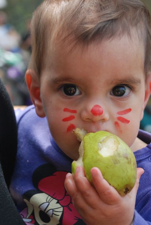 פורימון 2012