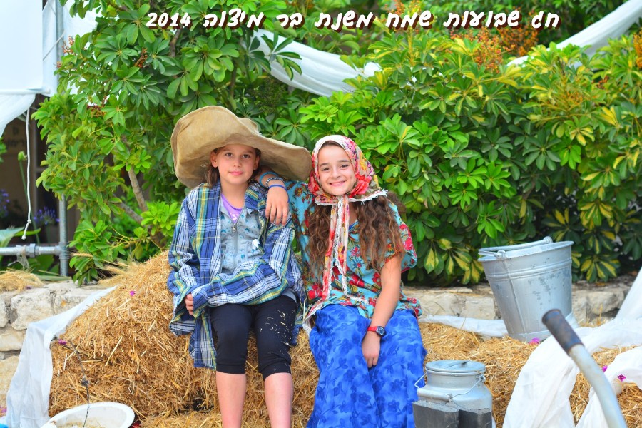 שבועות 2014