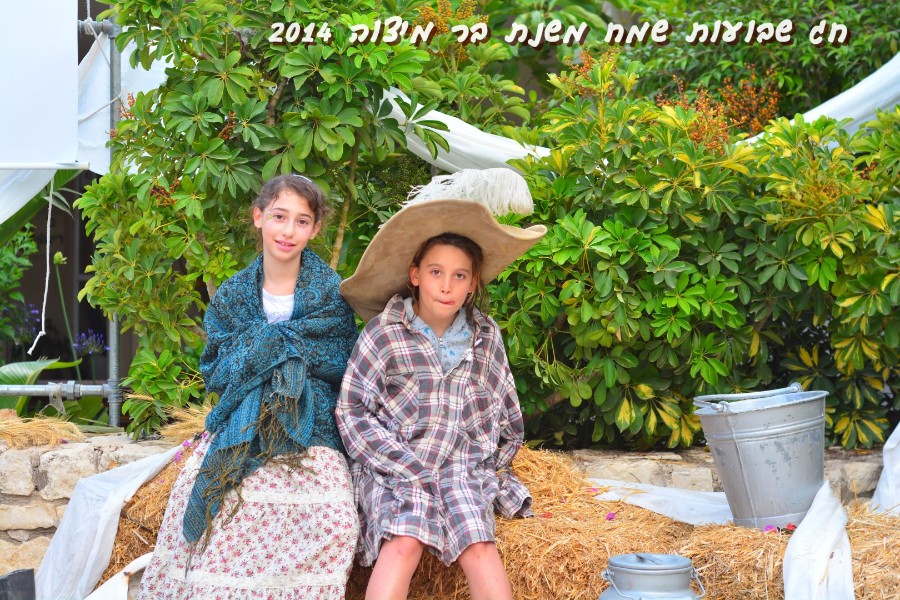 שבועות 2014