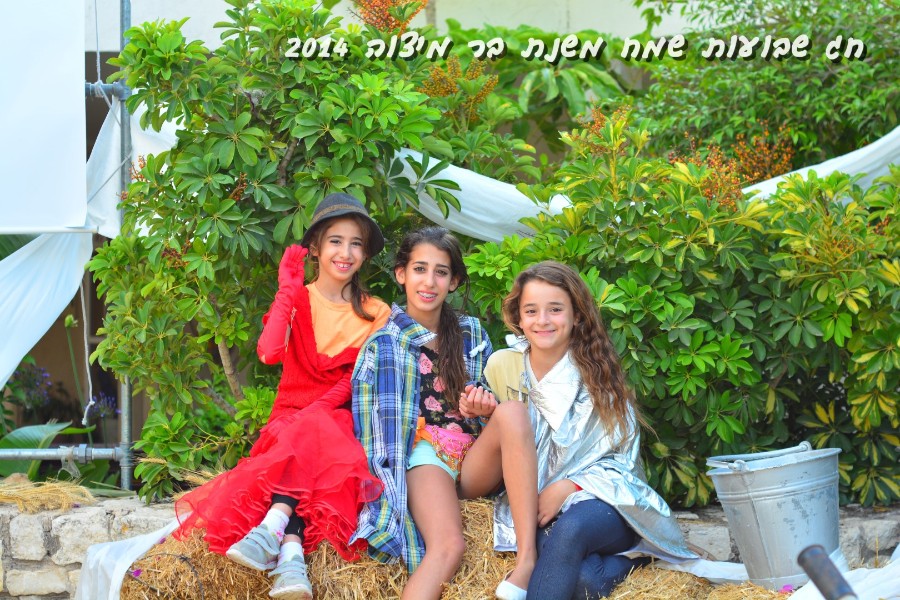 שבועות 2014