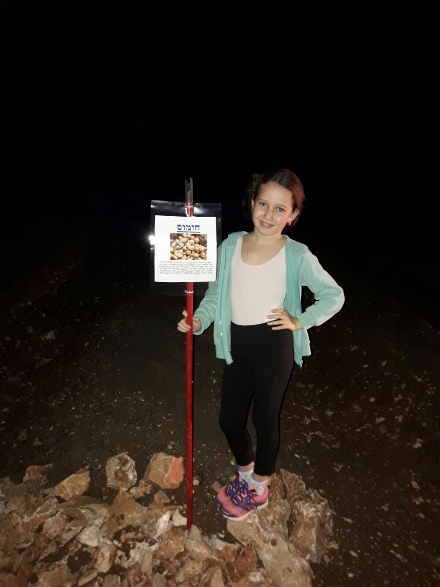 הקמת הגינה 2017