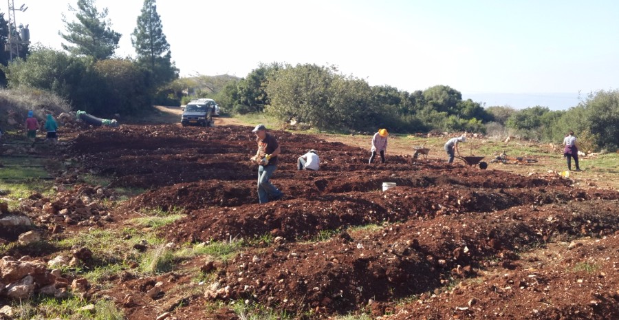 הקמת הגינה 2017