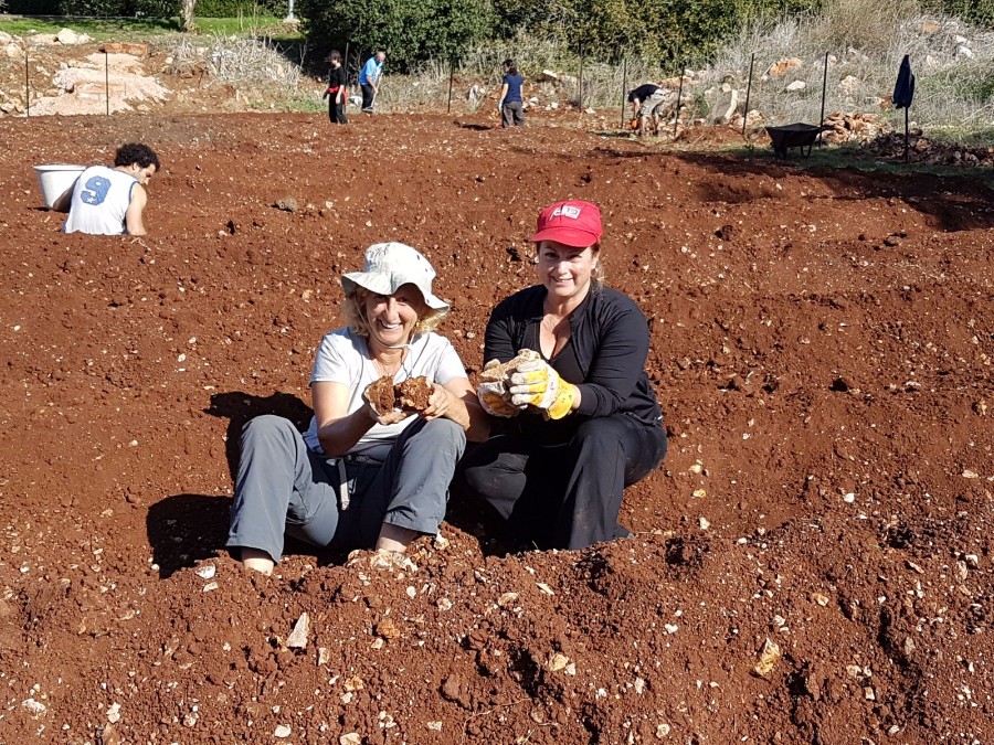 הקמת הגינה 2017