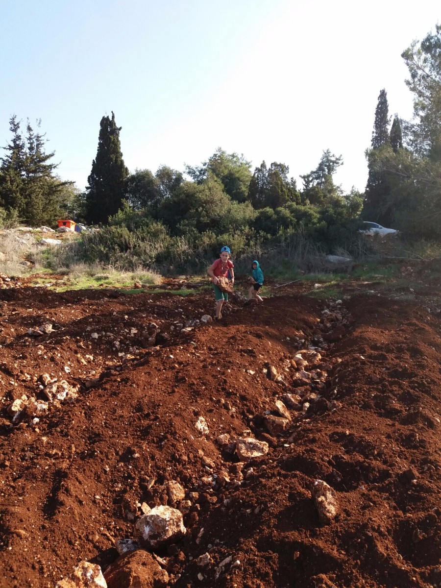 הקמת הגינה 2017