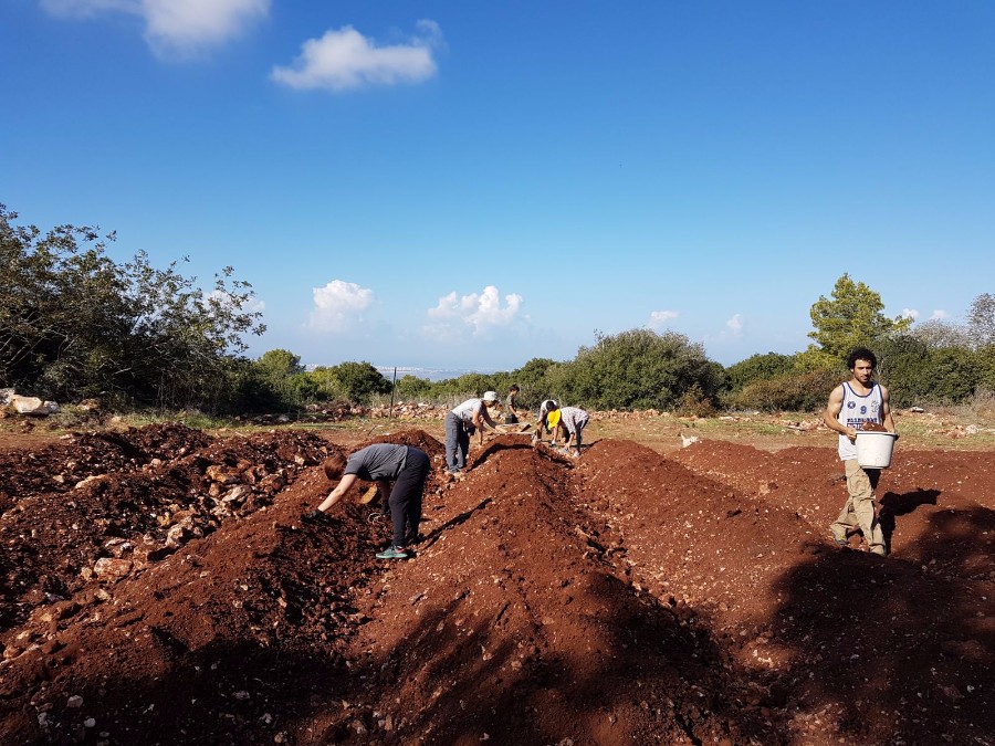 הקמת הגינה 2017