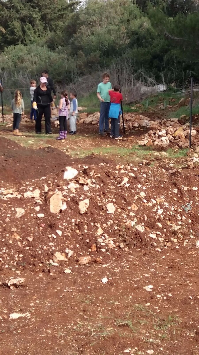 הקמת הגינה 2017