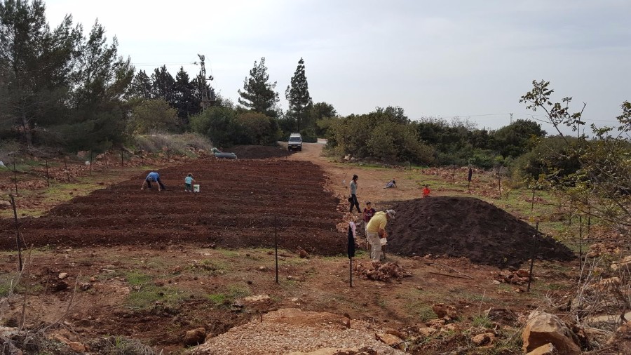 הקמת הגינה 2017