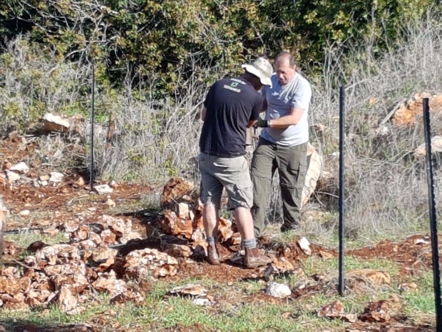 הקמת הגינה 2017