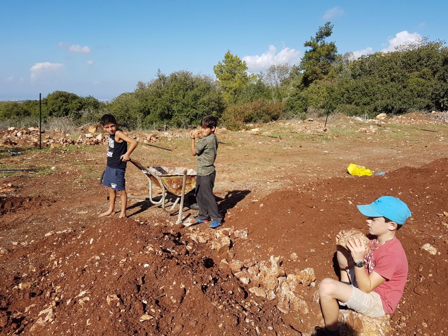 הקמת הגינה 2017