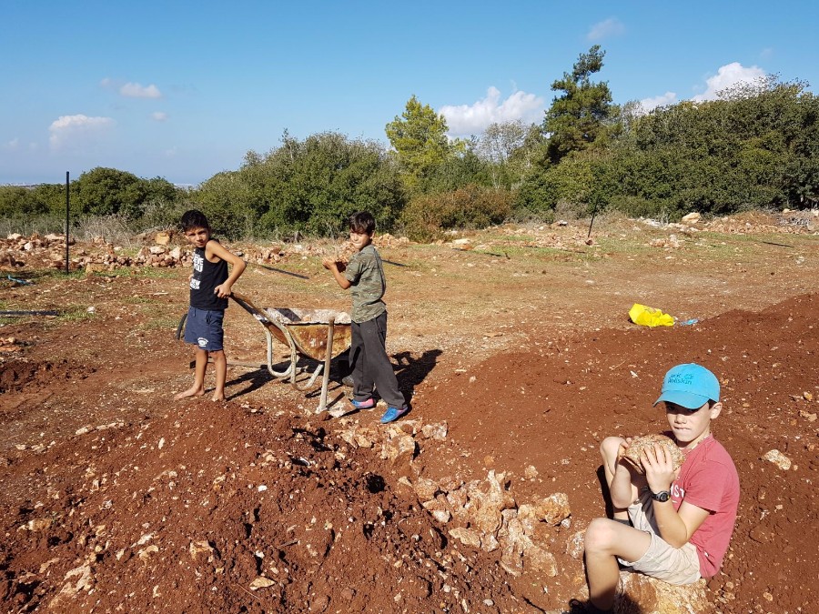 הקמת הגינה 2017