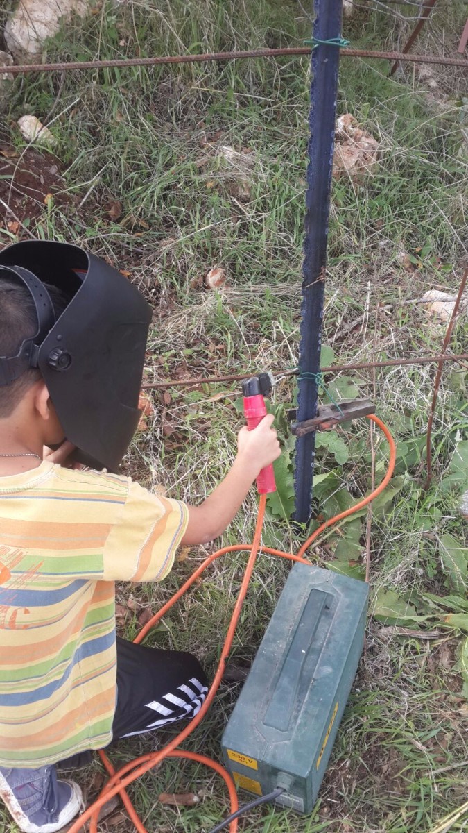הקמת הגינה 2017