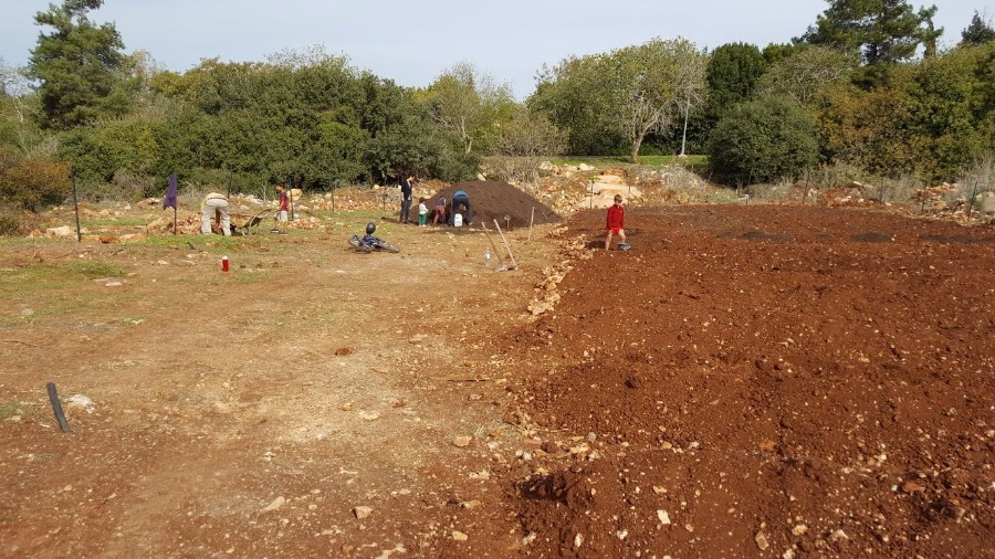 הקמת הגינה 2017