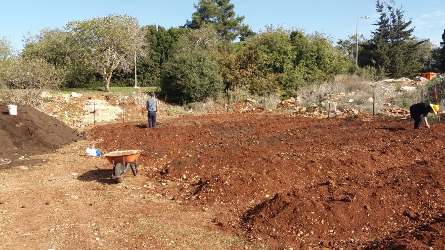 הקמת הגינה 2017