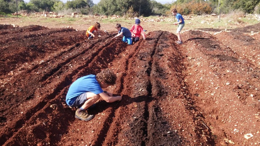 הקמת הגינה 2017