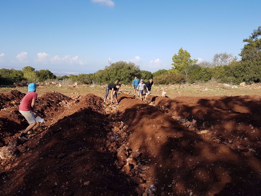 הקמת הגינה 2017