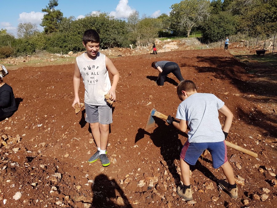 הקמת הגינה 2017