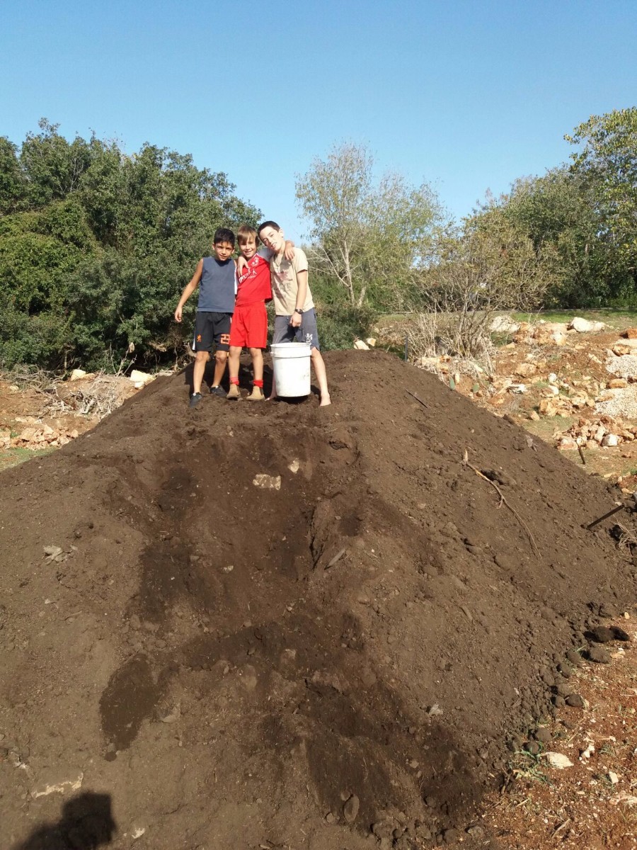 הקמת הגינה 2017