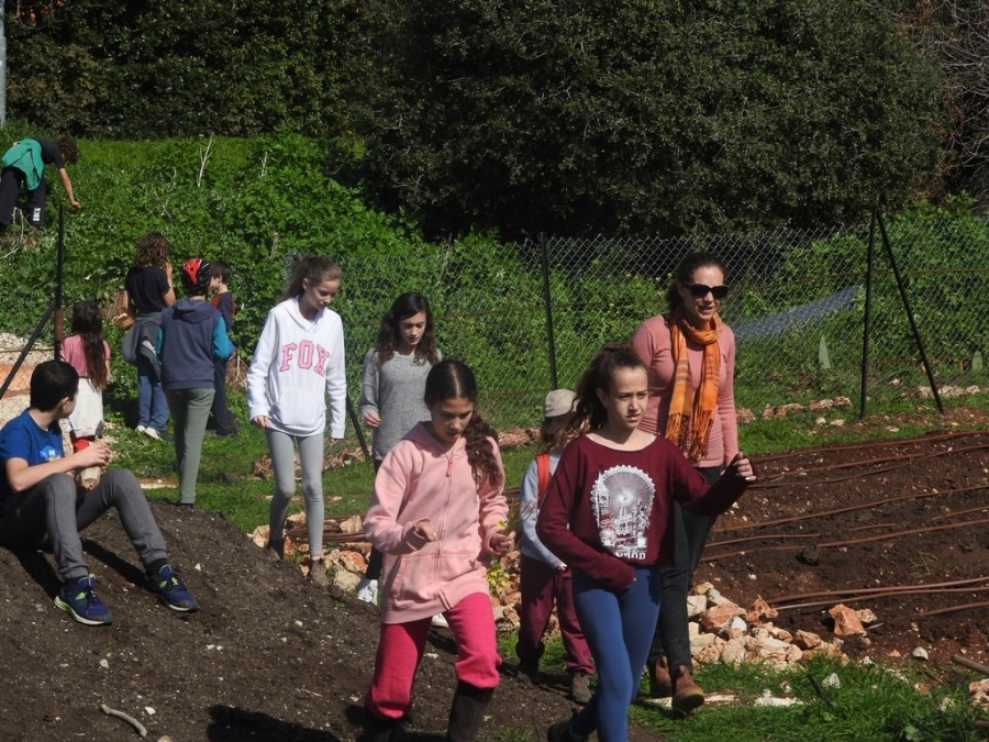 o_1c5c0pq3r18dct23u1c1o351lap