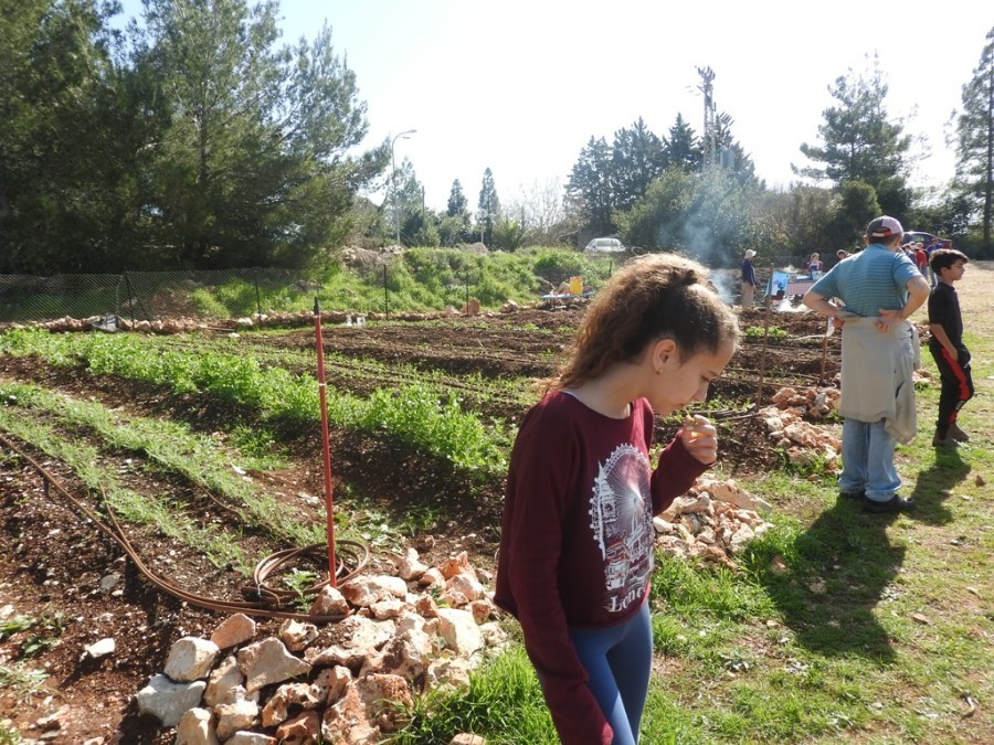 o_1c5c0pq3rmhgcv4ib6o1q1qspl