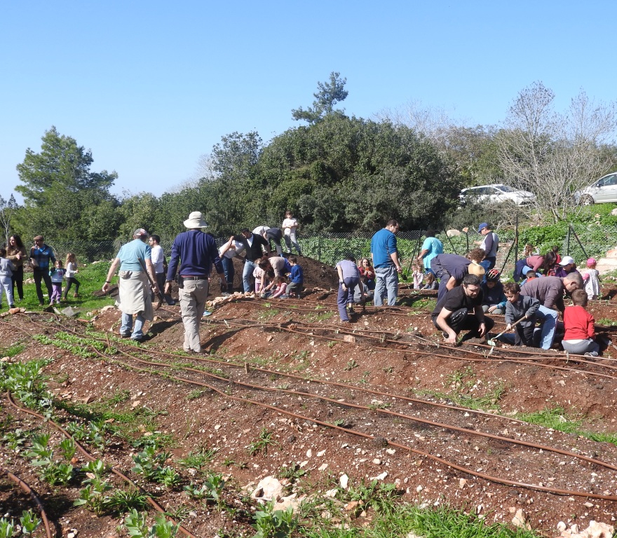 o_1c5c0pq3r78e1bl51mfn46u8gr