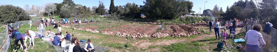 WhatsApp Image 2018-02-02 at 5.27.16 PM