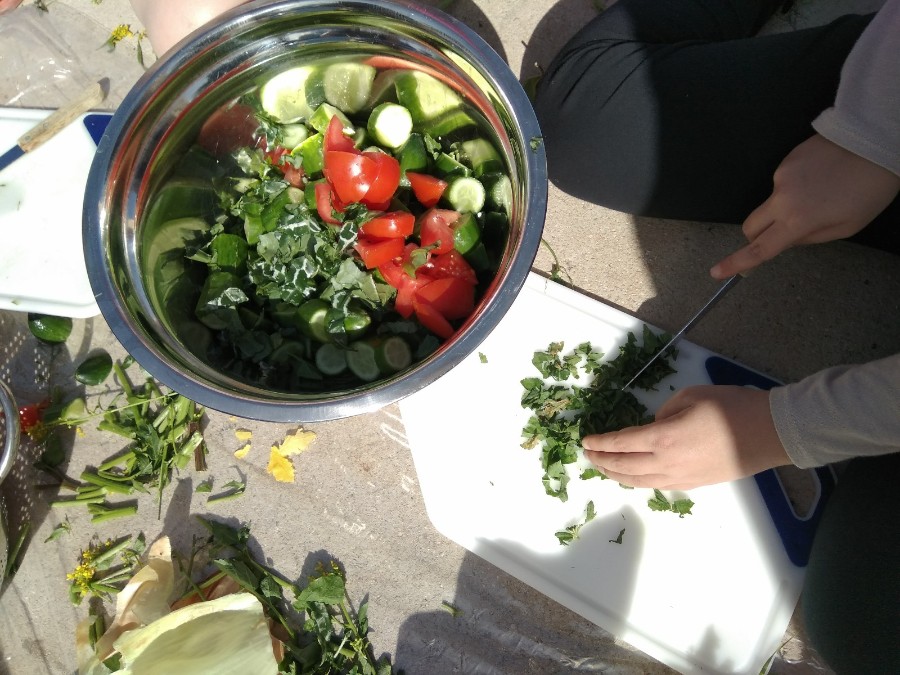 WhatsApp Image 2018-02-10 at 18.10.11