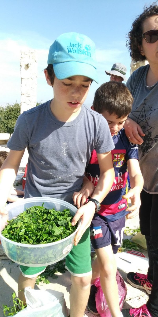 WhatsApp Image 2018-02-10 at 18.10.15(1)