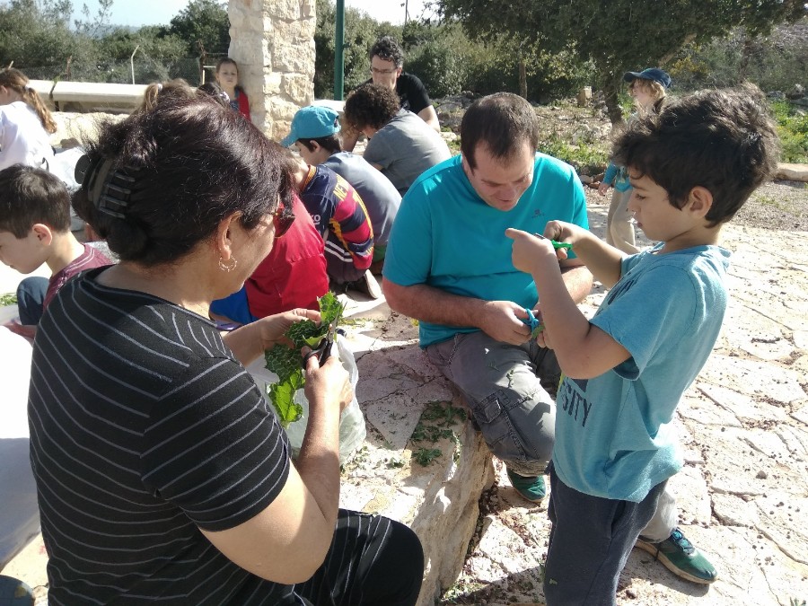 WhatsApp Image 2018-02-10 at 18.10.09