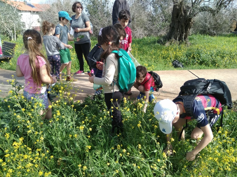 WhatsApp Image 2018-02-10 at 18.10.06