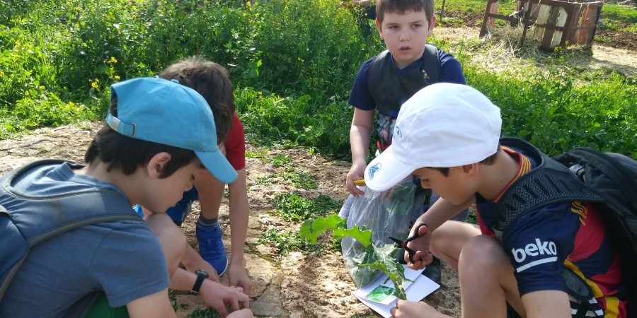 WhatsApp Image 2018-02-10 at 18.10.19(1)