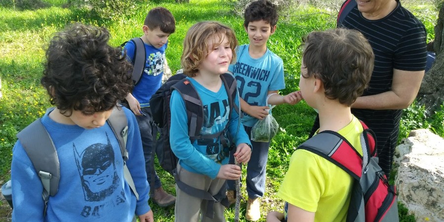 WhatsApp Image 2018-02-10 at 18.10.19