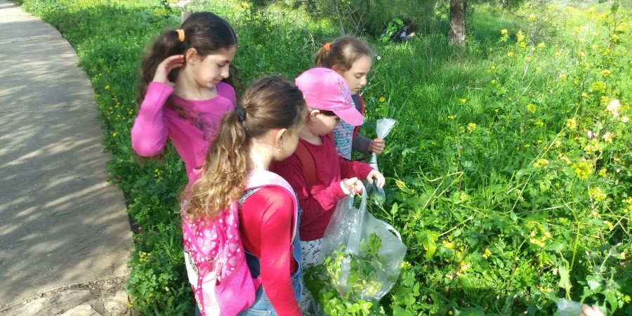 WhatsApp Image 2018-02-10 at 18.10.15