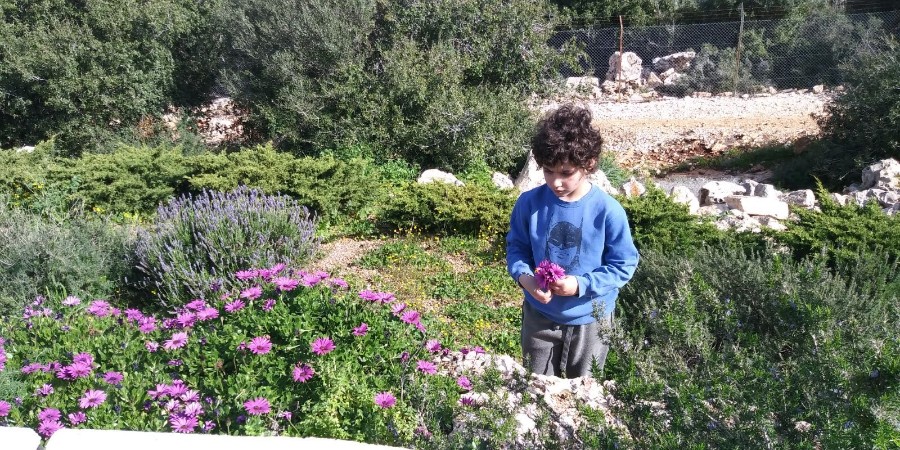 WhatsApp Image 2018-02-10 at 18.10.15(2)