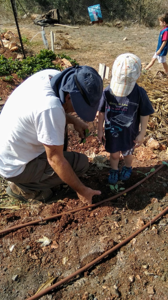 IMG_20180915_101718 (Large)