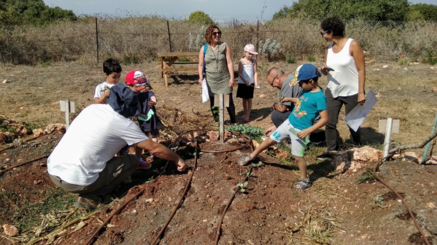 IMG_20180915_101727 (Large)