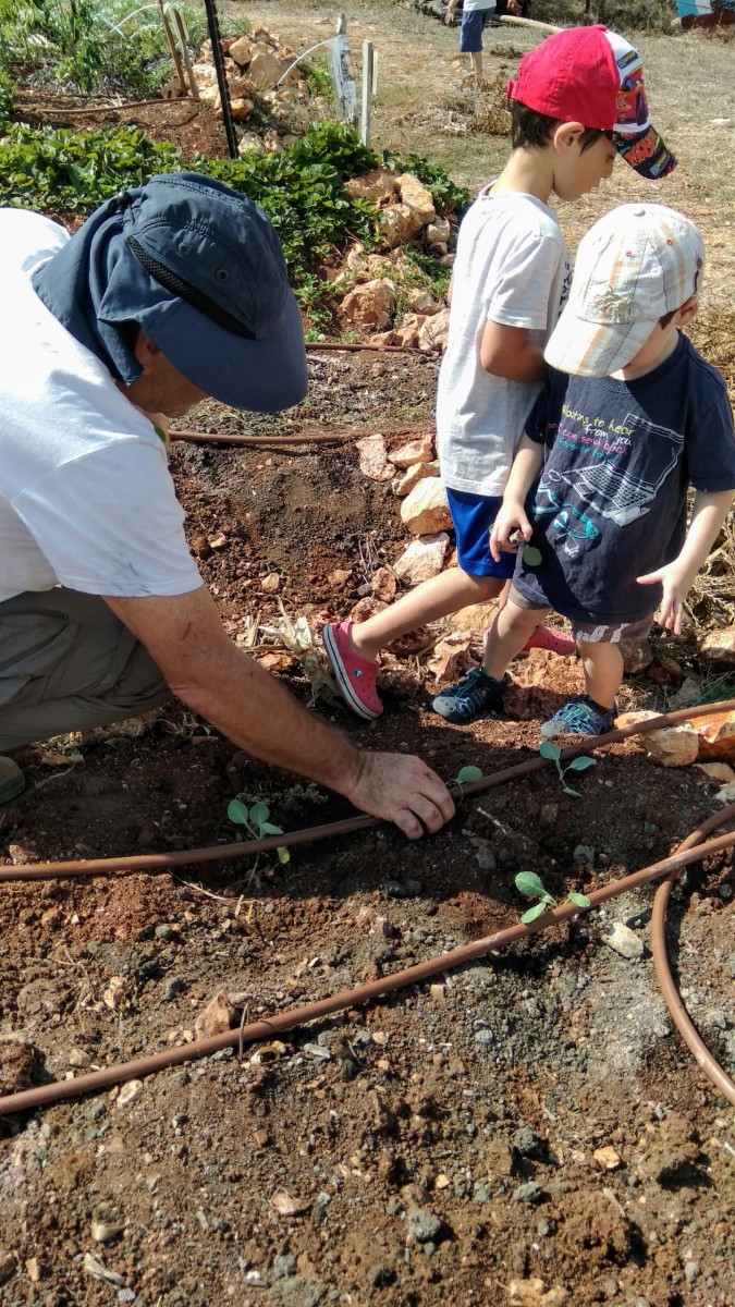 IMG_20180915_101710 (Large)