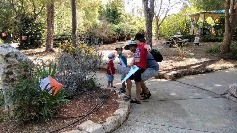 IMG_20180915_100800 (Large)