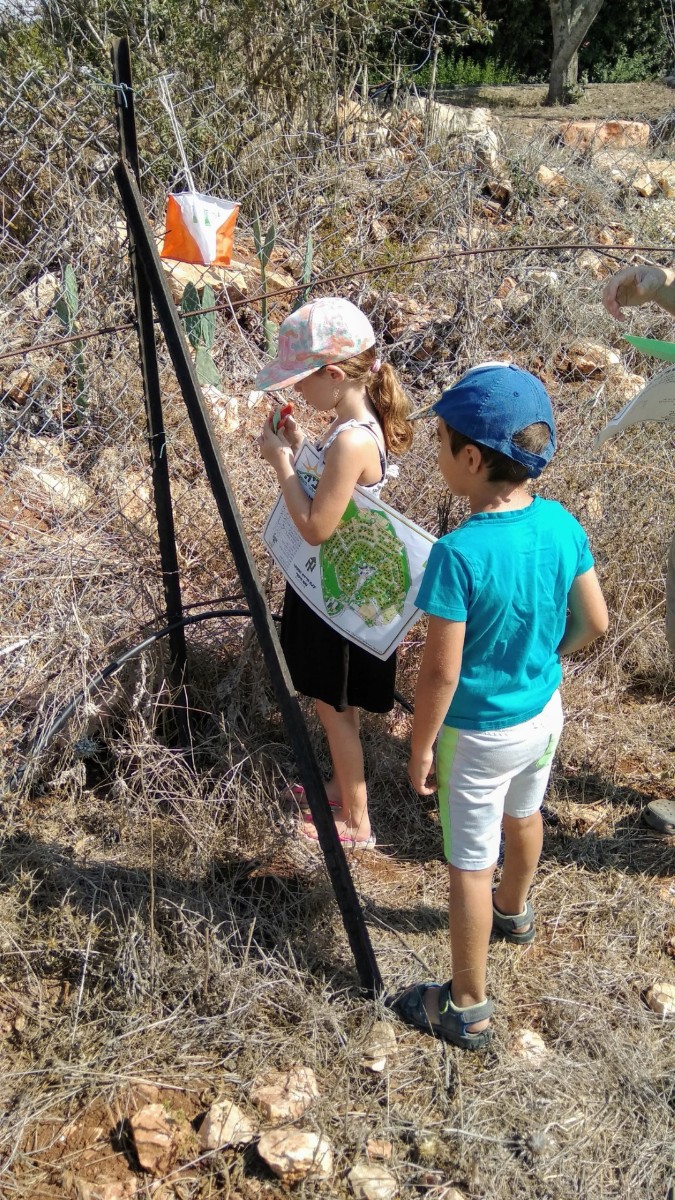 IMG_20180915_101624 (Large)