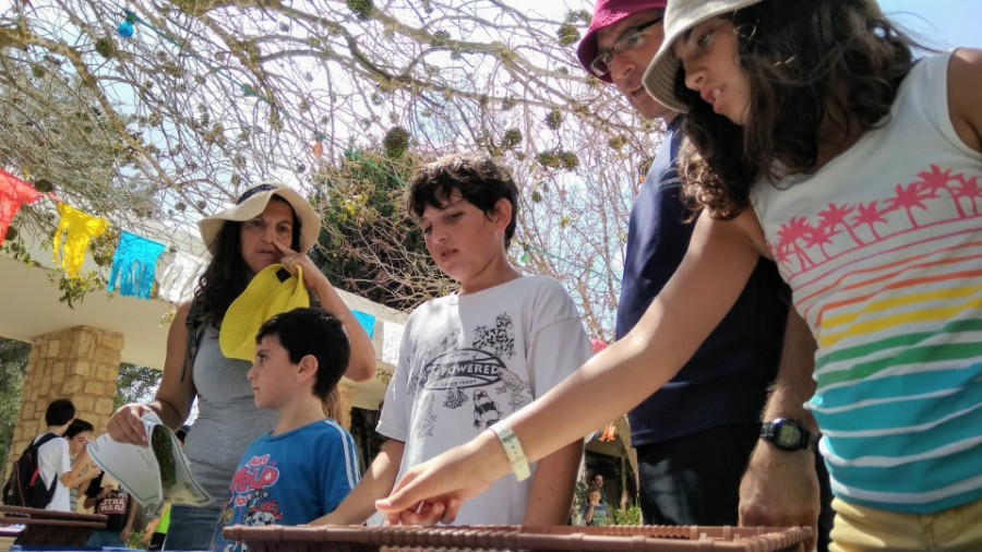 IMG_20180915_114443 (Large)