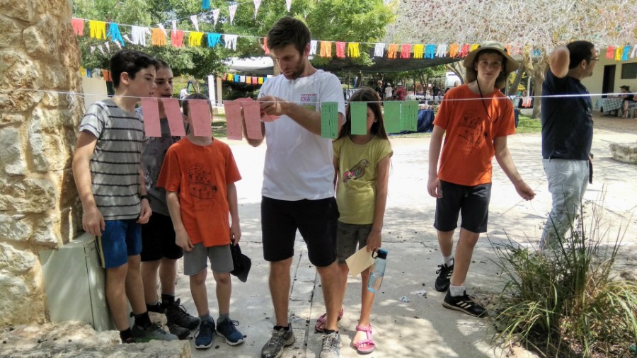 IMG_20180915_113637 (Large)