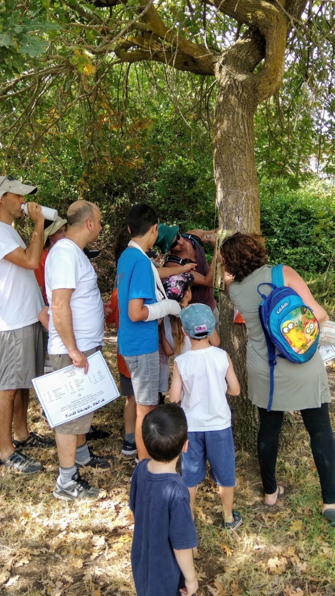 IMG_20180915_103142 (Large)