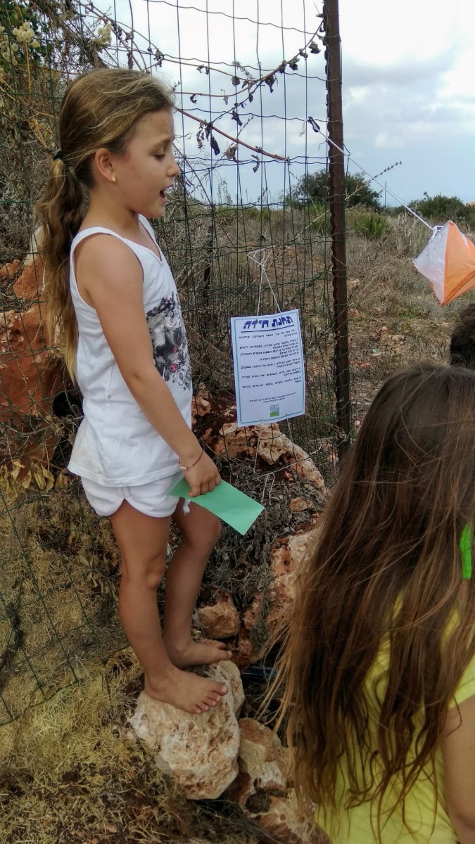 IMG_20180915_104237 (Large)