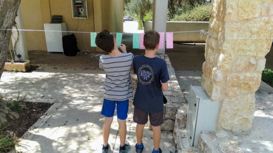 IMG_20180915_112409 (Large)