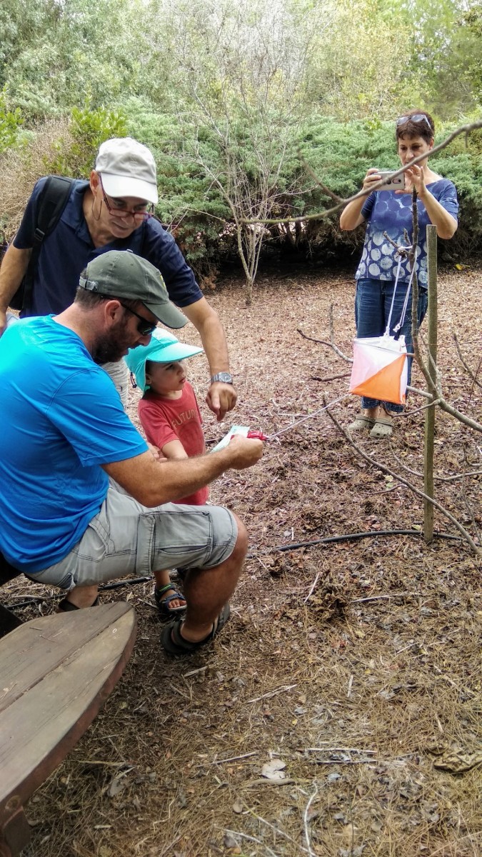 IMG_20180915_111509 (Large)