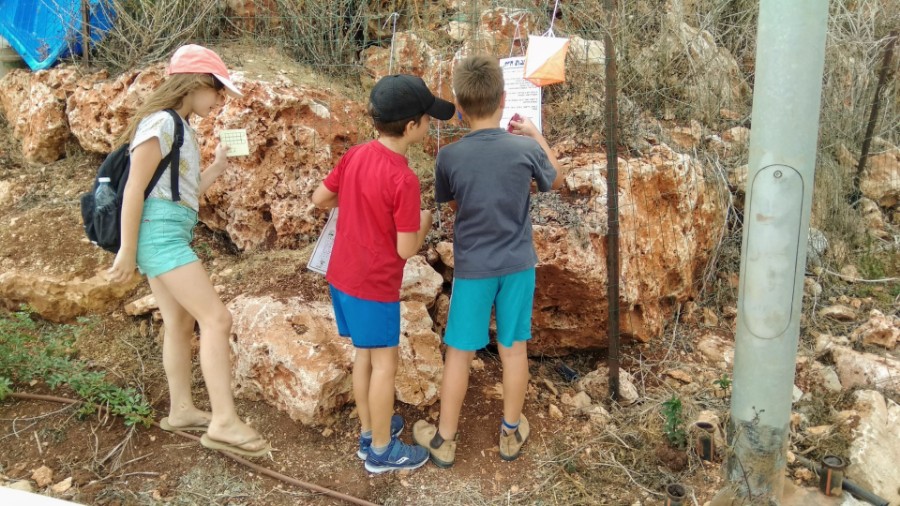 IMG_20180915_103539 (Large)