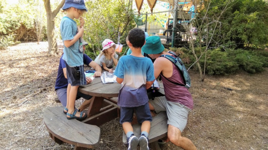 IMG_20180915_105238 (Large)