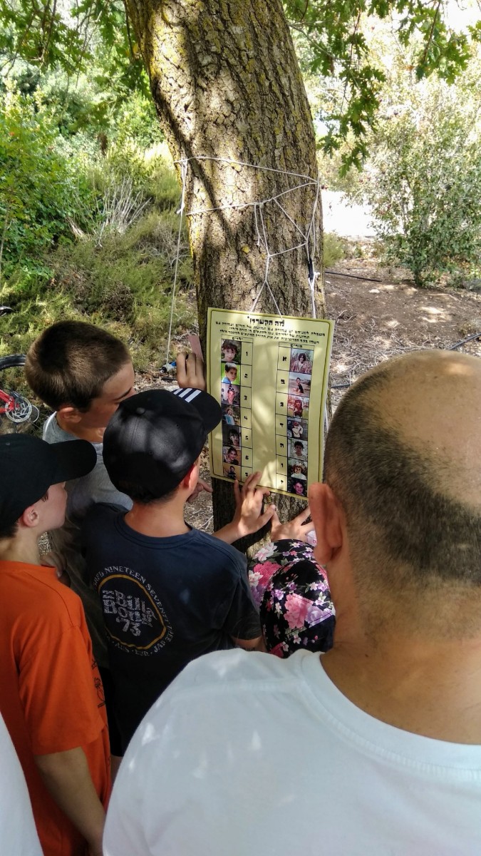 IMG_20180915_103224 (Large)