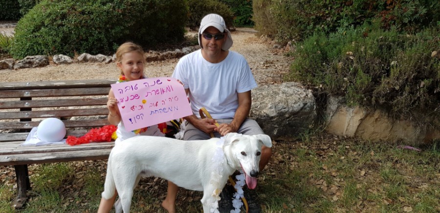 20180915_110558 (Large)