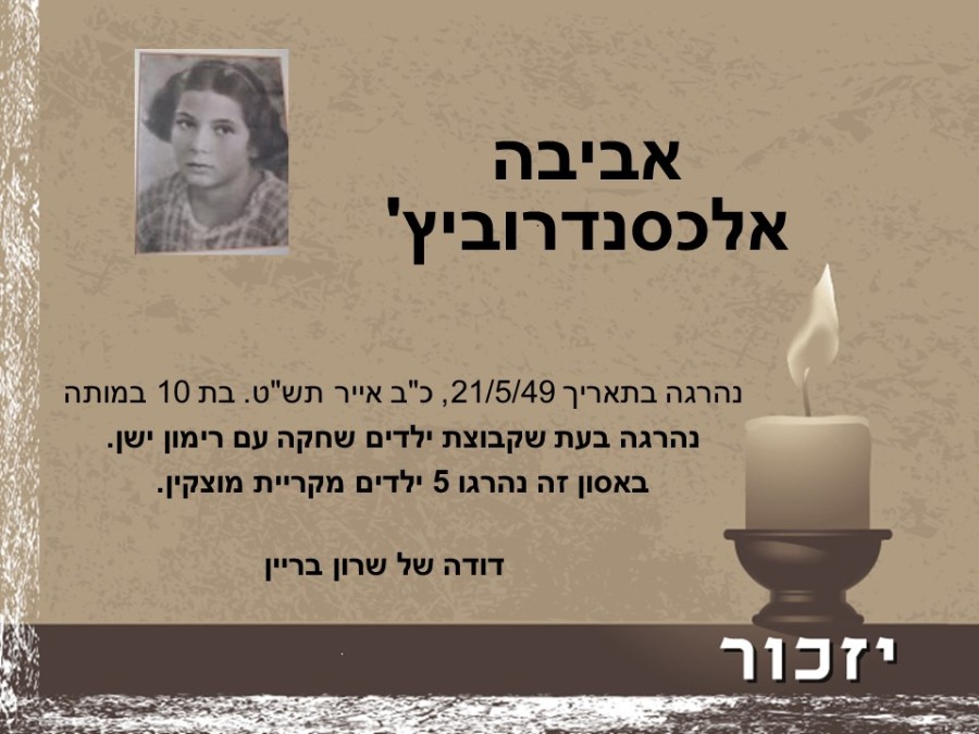 יום הזיכרון לחללי מערכות ישראל ולנפגעי פעולות האיבה רשימת הנופלים