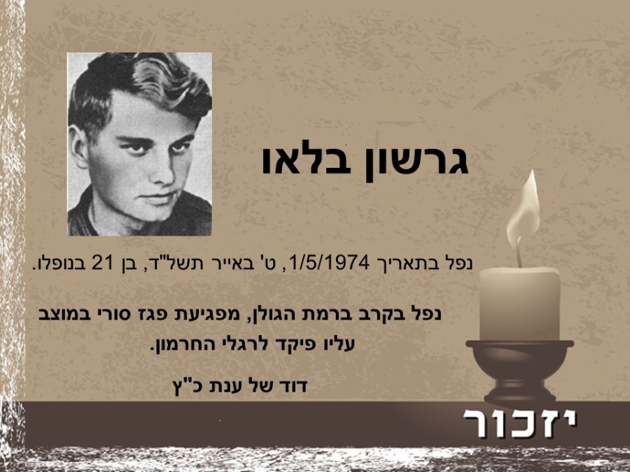 יום הזיכרון לחללי מערכות ישראל ולנפגעי פעולות האיבה רשימת הנופלים